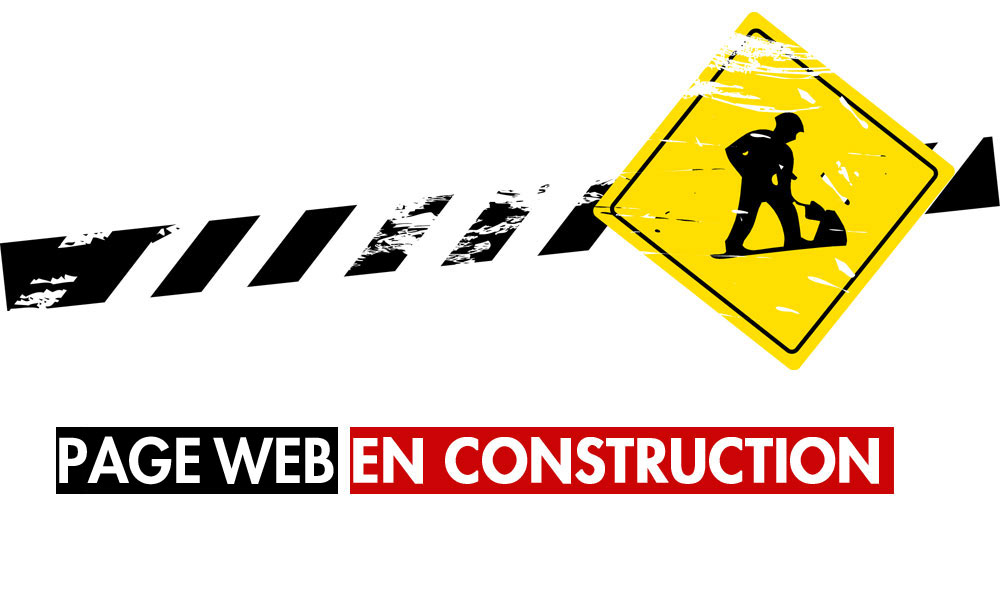 logo web développeur